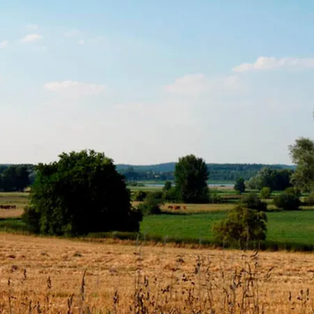 500m Zum